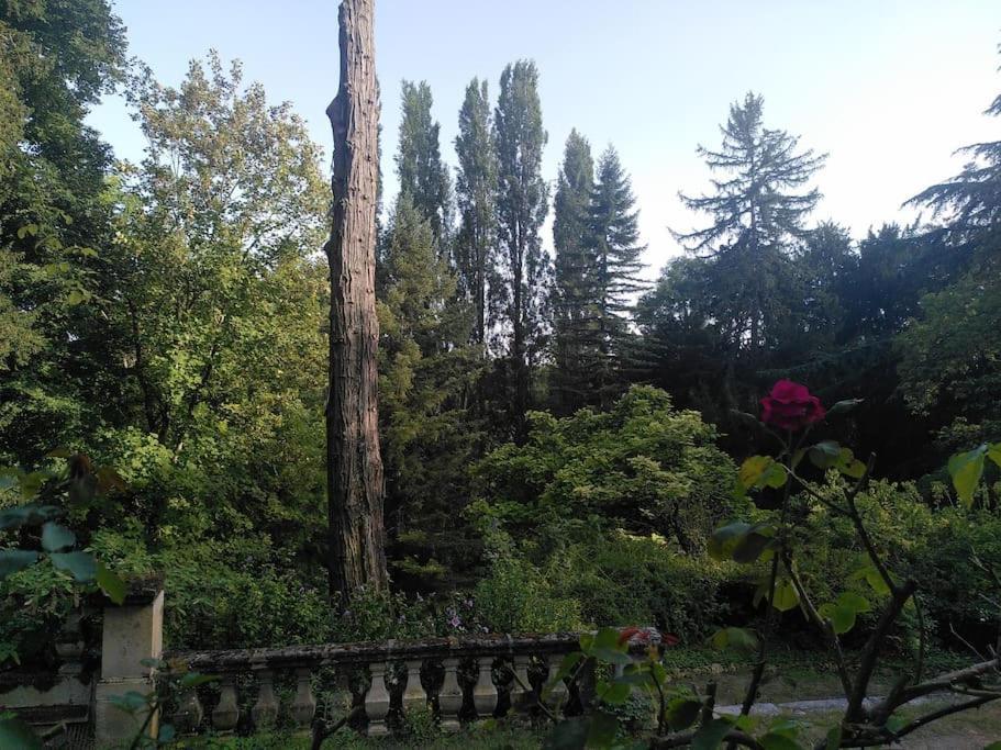 Magnifiques Ecuries Juste Renovees - Domaine De La Mulotiere Villa Langeais Luaran gambar