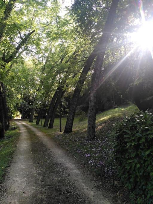 Magnifiques Ecuries Juste Renovees - Domaine De La Mulotiere Villa Langeais Luaran gambar